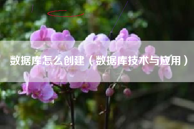 数据库怎么创建（数据库技术与应用）