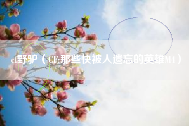 cf野驴（CF:那些快被人遗忘的英雄M4）
