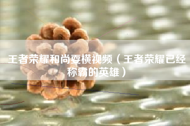 王者荣耀和尚耍横视频（王者荣耀已经称霸的英雄）