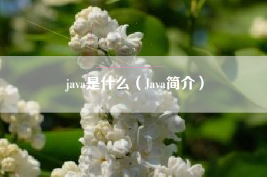 java是什么（Java简介）