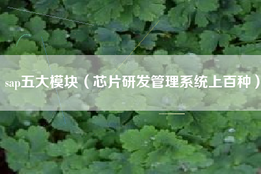 sap五大模块（芯片研发管理系统上百种）