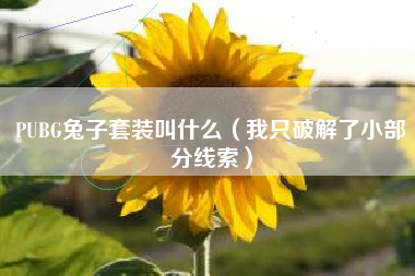 PUBG兔子套装叫什么（我只破解了小部分线索）