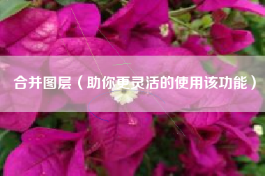 合并图层（助你更灵活的使用该功能）