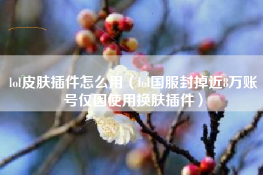lol皮肤插件怎么用（lol国服封掉近8万账号仅因使用换肤插件）