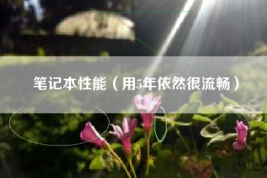 笔记本性能（用5年依然很流畅）
