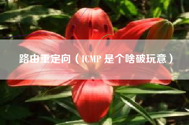 路由重定向（ICMP 是个啥破玩意）