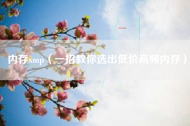 内存xmp（一招教你选出低价高频内存）