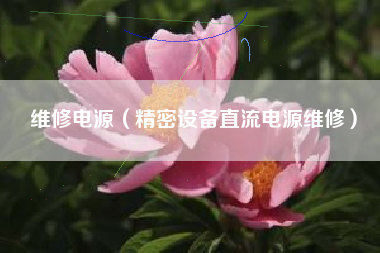 维修电源（精密设备直流电源维修）