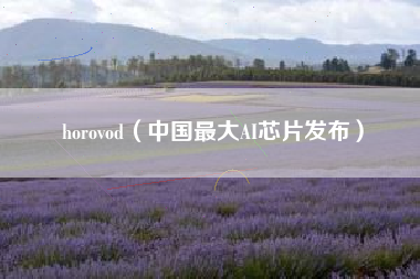 horovod（中国最大AI芯片发布）