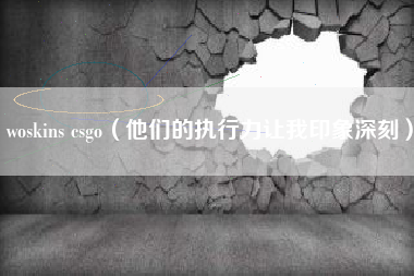 woskins csgo（他们的执行力让我印象深刻）