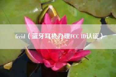 fccid（蓝牙耳机办理FCC ID认证）