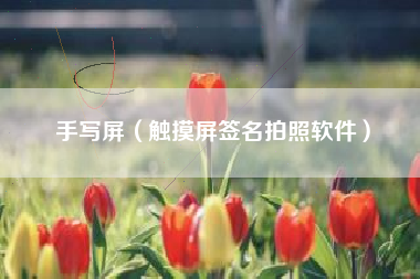 手写屏（触摸屏签名拍照软件）