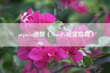 argmin函数（NumPy视觉指南）