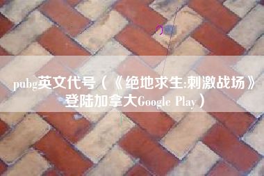 pubg英文代号（《绝地求生:刺激战场》登陆加拿大Google Play）