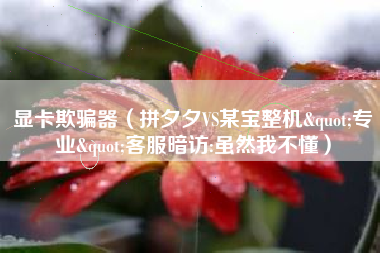 显卡欺骗器（拼夕夕VS某宝整机"专业"客服暗访:虽然我不懂）