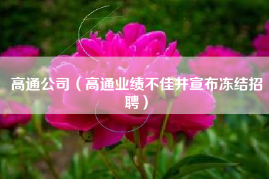 高通公司（高通业绩不佳并宣布冻结招聘）