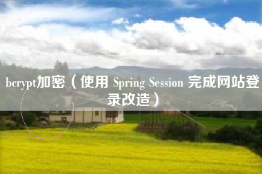 bcrypt加密（使用 Spring Session 完成网站登录改造）