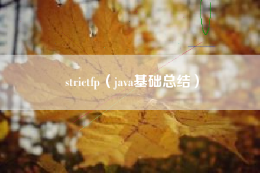 strictfp（java基础总结）