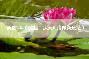 美图m8s（掀起二次元IP跨界新玩法）