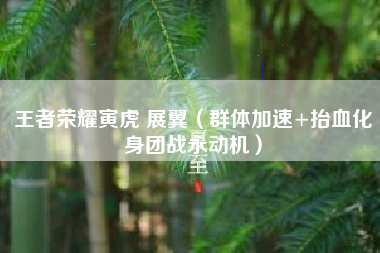 王者荣耀寅虎 展翼（群体加速+抬血化身团战永动机）
