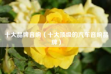 十大品牌音响（十大顶级的汽车音响品牌）