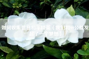 如何收集信息和平精英（我们和99公益发起了一个梦想）