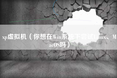 xp虚拟机（你想在Win系统下尝试Linux、MacOS吗）
