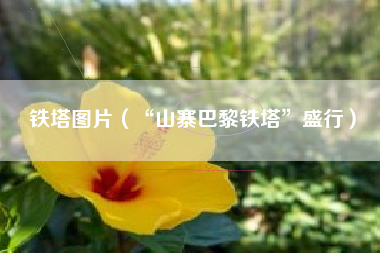 铁塔图片（“山寨巴黎铁塔”盛行）