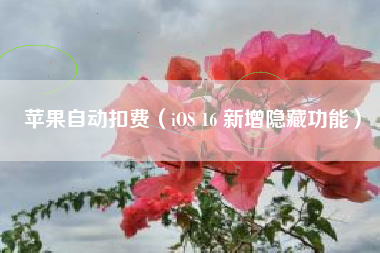 苹果自动扣费（iOS 16 新增隐藏功能）