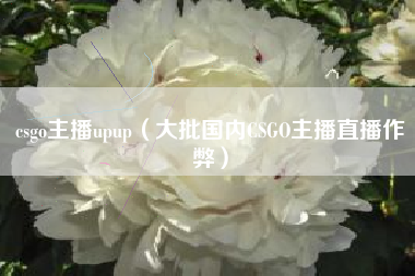 csgo主播upup（大批国内CSGO主播直播作弊）