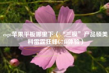 csgo苹果平板哪里下（“三模”产品硕美科雷霆狂蜂G710体验）