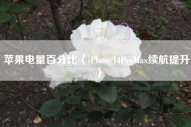 苹果电量百分比（iPhone14ProMax续航提升）