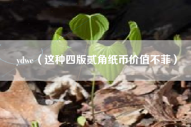 ydwe（这种四版贰角纸币价值不菲）