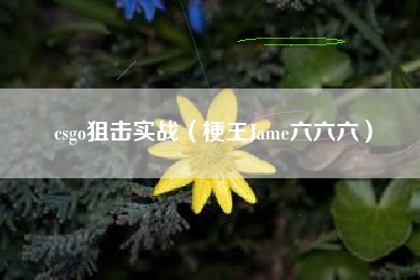csgo狙击实战（梗王Jame六六六）
