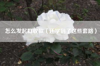 怎么发起群收款（还学到了这些套路）