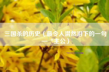 三国杀的历史（最令人潸然泪下的一句—“主公）