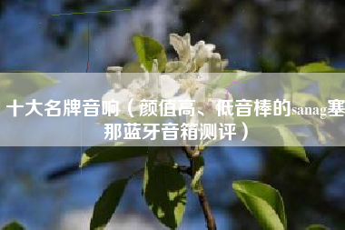 十大名牌音响（颜值高、低音棒的sanag塞那蓝牙音箱测评）