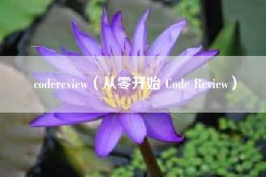 codereview（从零开始 Code Review）