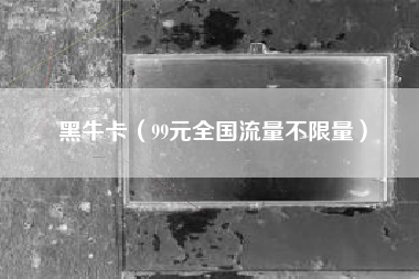 黑牛卡（99元全国流量不限量）