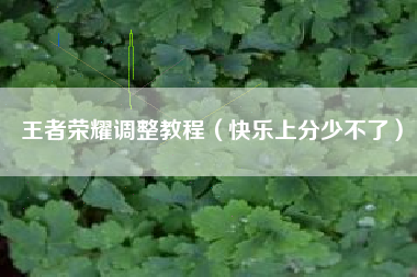 王者荣耀调整教程（快乐上分少不了）