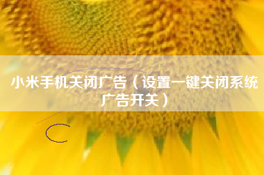 小米手机关闭广告（设置一键关闭系统广告开关）