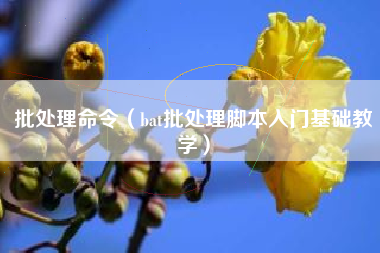 批处理命令（bat批处理脚本入门基础教学）