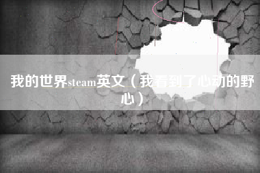 我的世界steam英文（我看到了心动的野心）