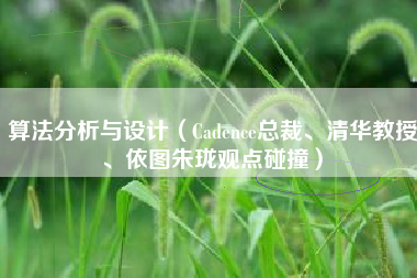 算法分析与设计（Cadence总裁、清华教授、依图朱珑观点碰撞）