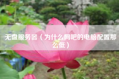 无盘服务器（为什么网吧的电脑配置那么低）