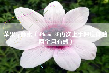 苹果8p像素（iPhone 8P再次上手深度体验两个月有感）