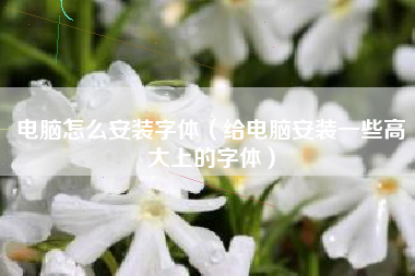 电脑怎么安装字体（给电脑安装一些高大上的字体）