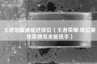 王者荣耀谁能进排位（王者荣耀:排位赛经常遇见全能选手）