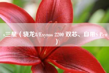 s三星（骁龙8/Exynos 2200 双芯、自带S Pen）