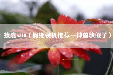 技嘉h310（假期装机推荐—神兽放假了）